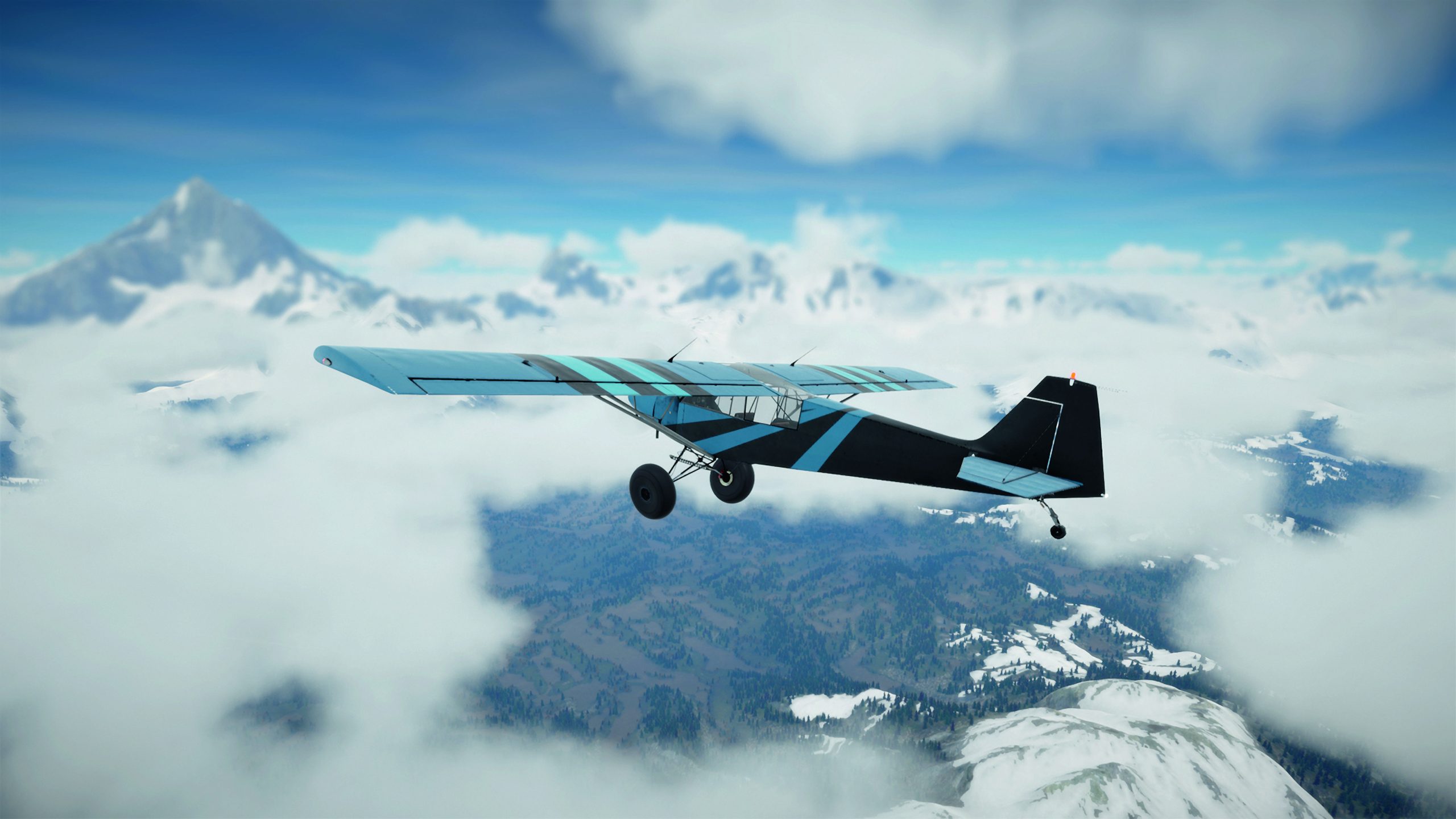 Deadstick Bush Flight Simulator