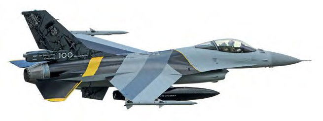 ‘Stingers’ Squadron centenary