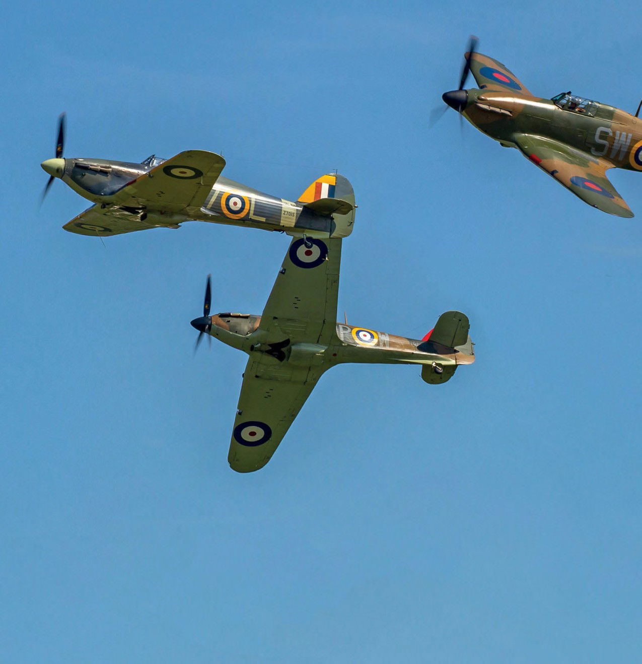 The SPECTACLE of SHUTTLEWORTH