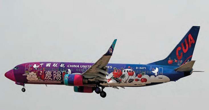 China United 737 Blossoms