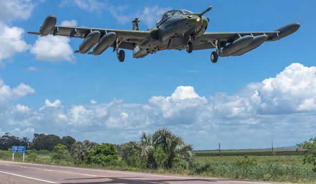 Uruguayan Dragonflies on the road