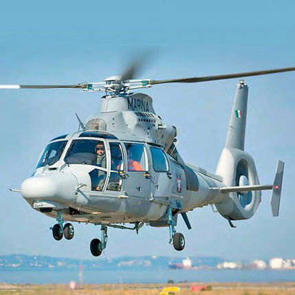 Mexican Naval Aviation accepts two Panthers