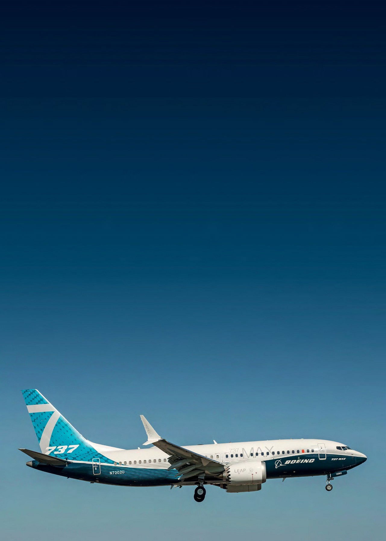 MAX GROUNDING GOES GLOBAL