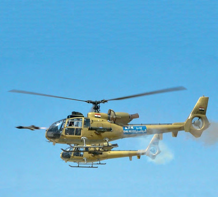 Egyptian Gazelles in Exercise Bright Star