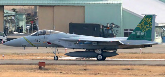 ‘Fighting Dragons’ F-15J