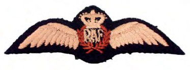 BIRTH of the THIRD ARM