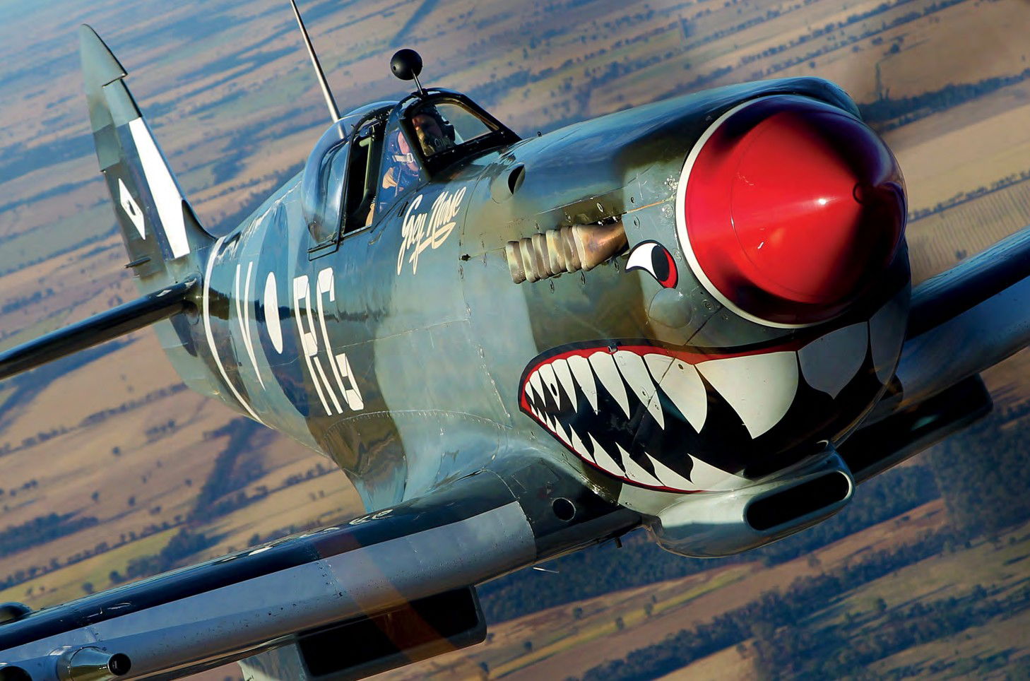 BOBBY GIBBES: WING LEADER