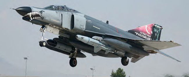 Operation Olive Branch