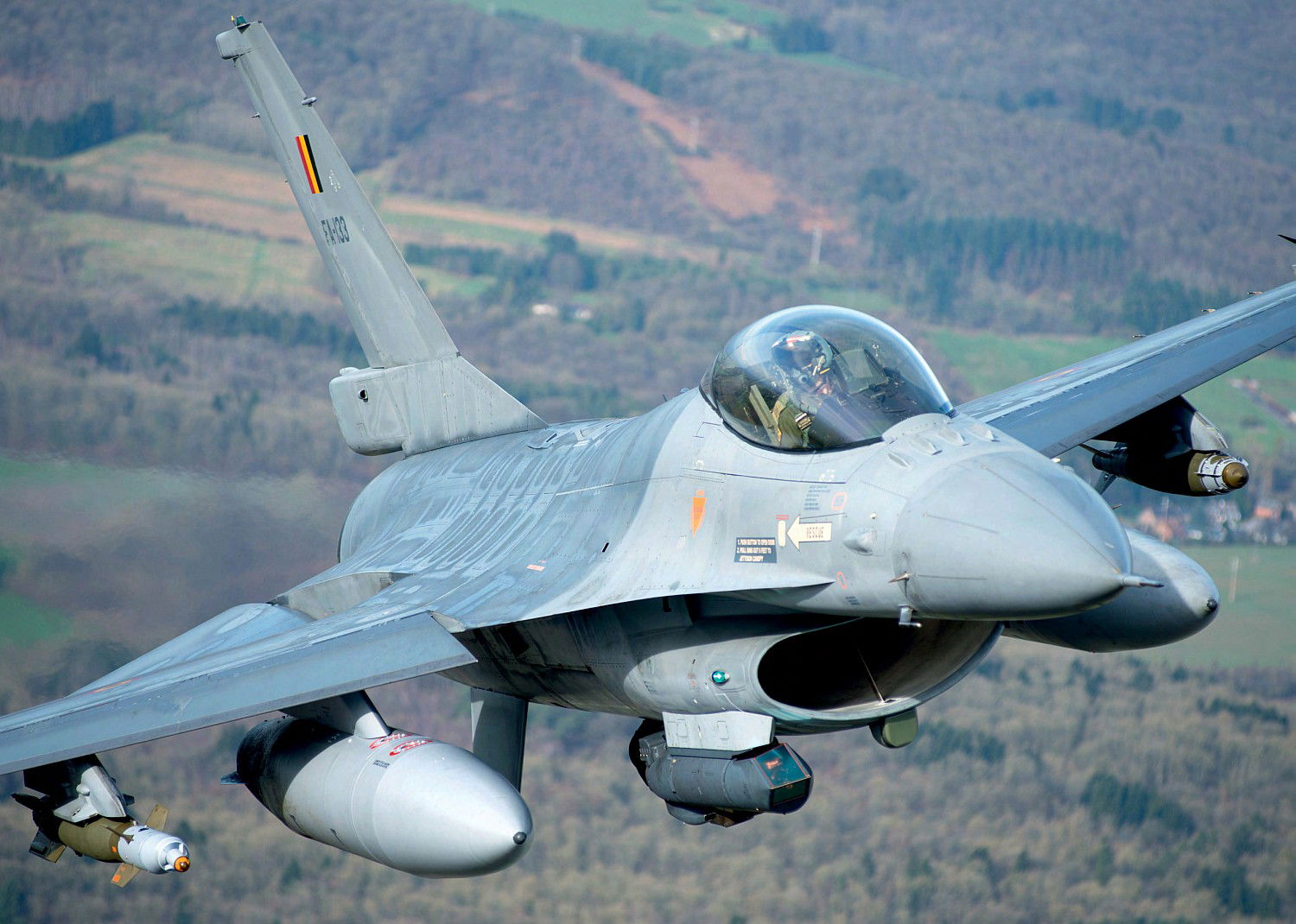 DESERT FALCONS ON DUTY