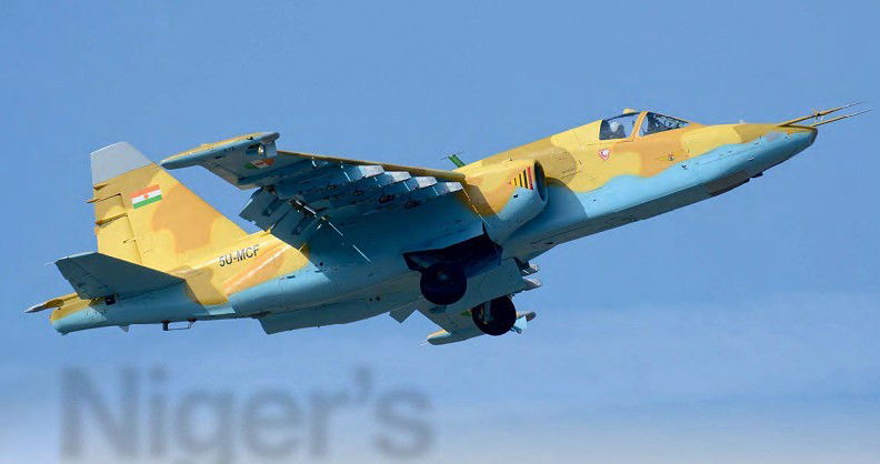 Niger’s desert warriors