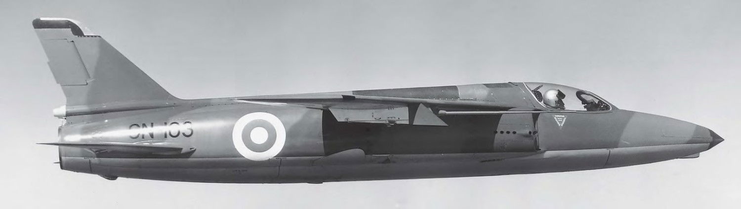 LITTLE GNAT… BIG BITE