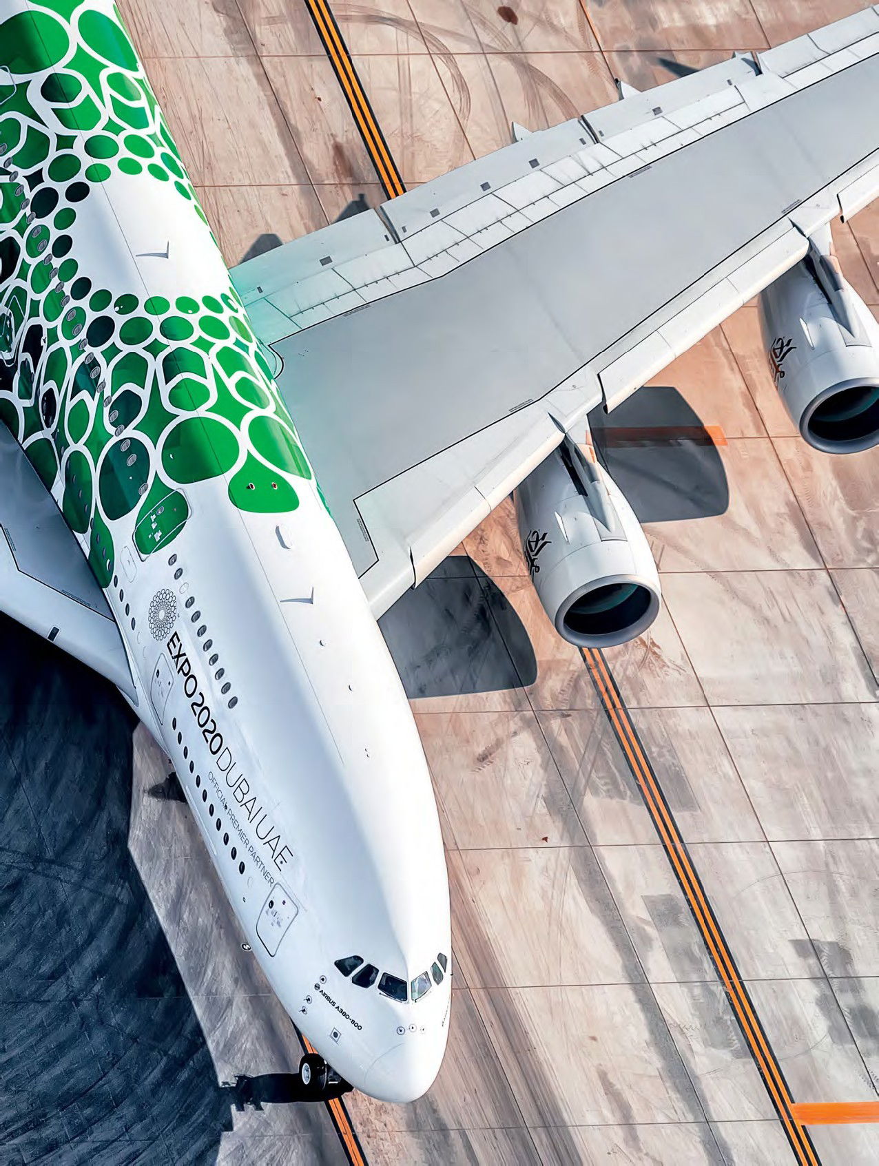 The Beauty of the Beast