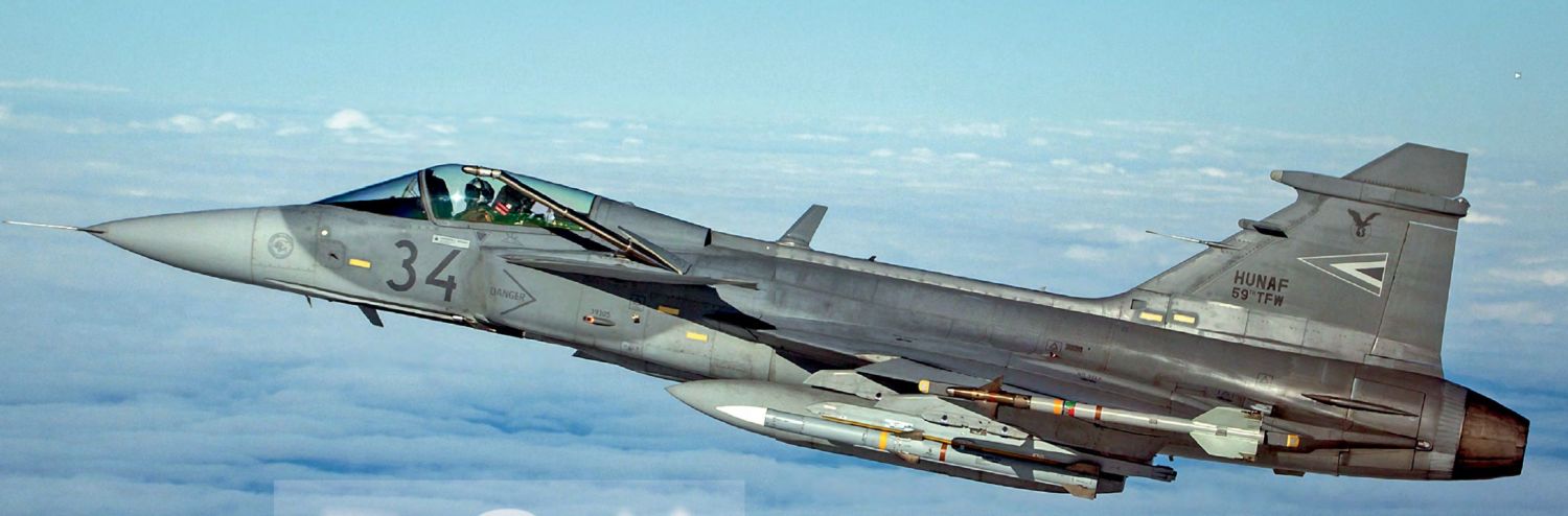 ‘PUMAS’ TRAIN IN SPAIN