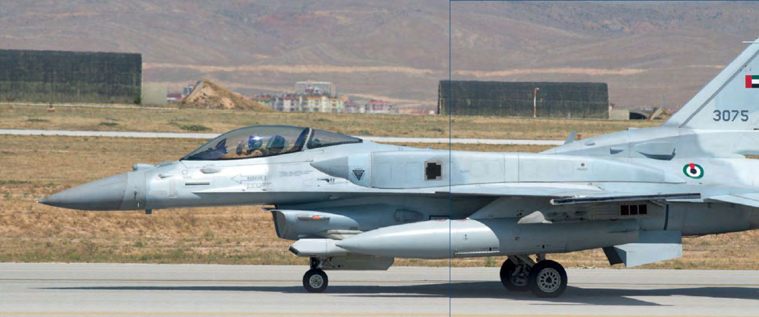 UAE Air Force and Air Defence