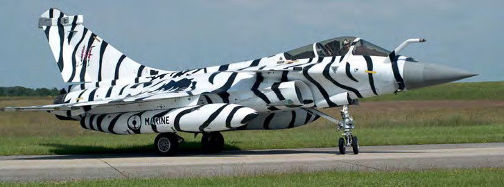 Atlantic Tiger