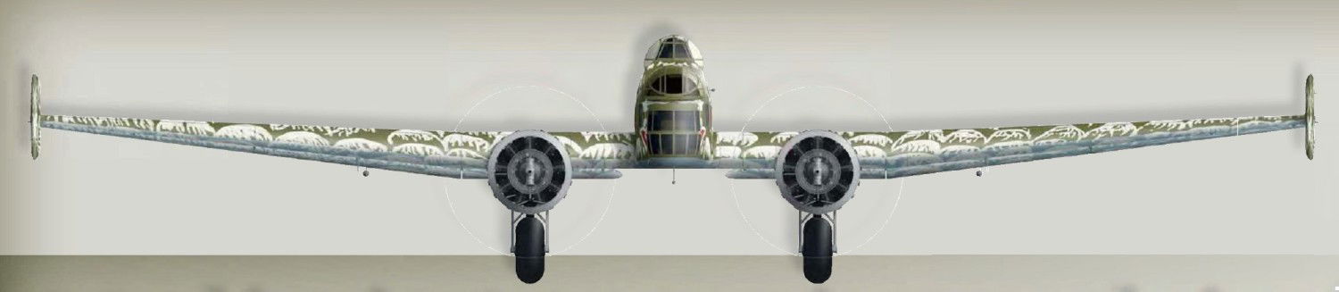 Kalinin’s curious bird