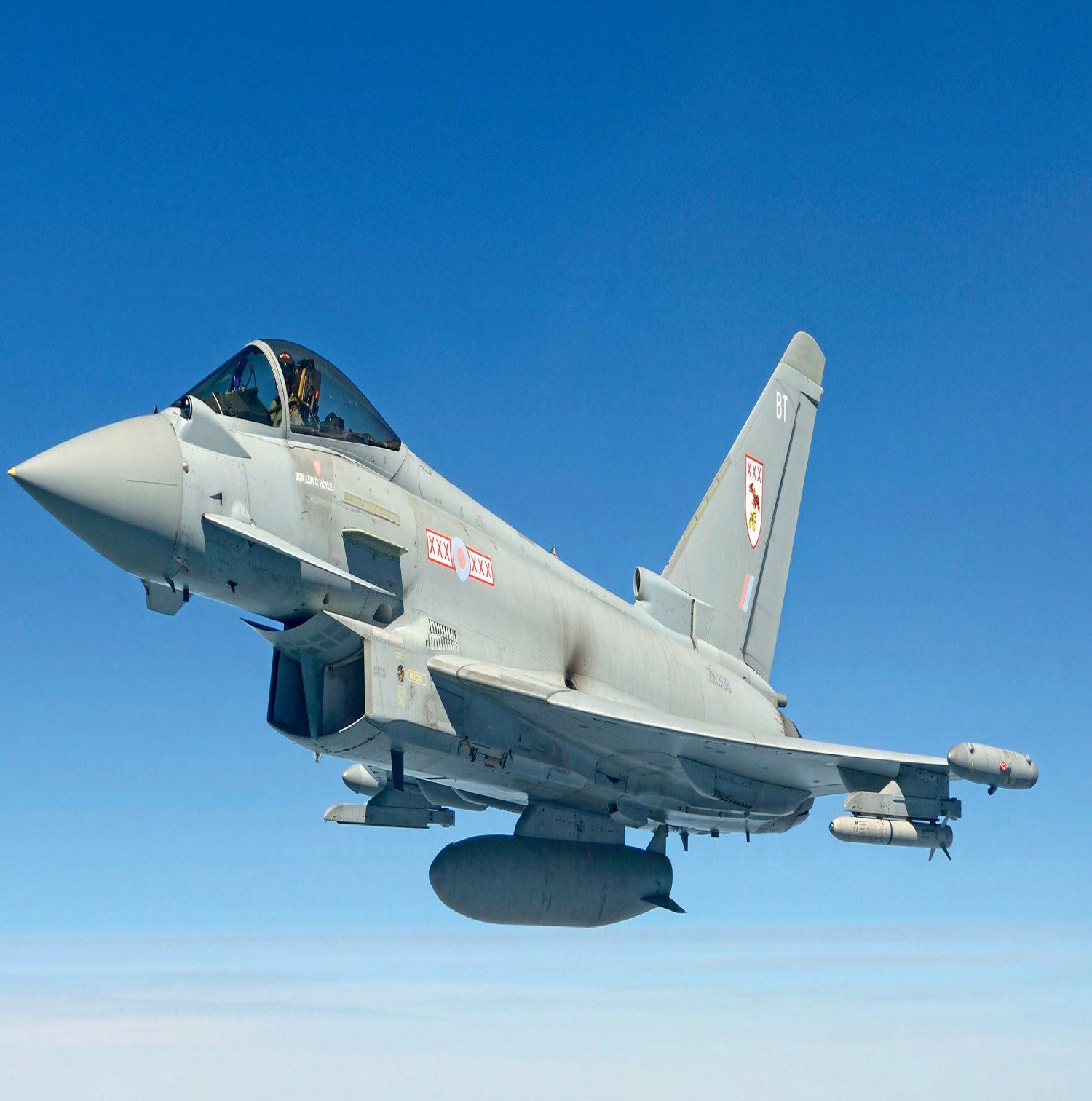 Training a Typhoon pilot