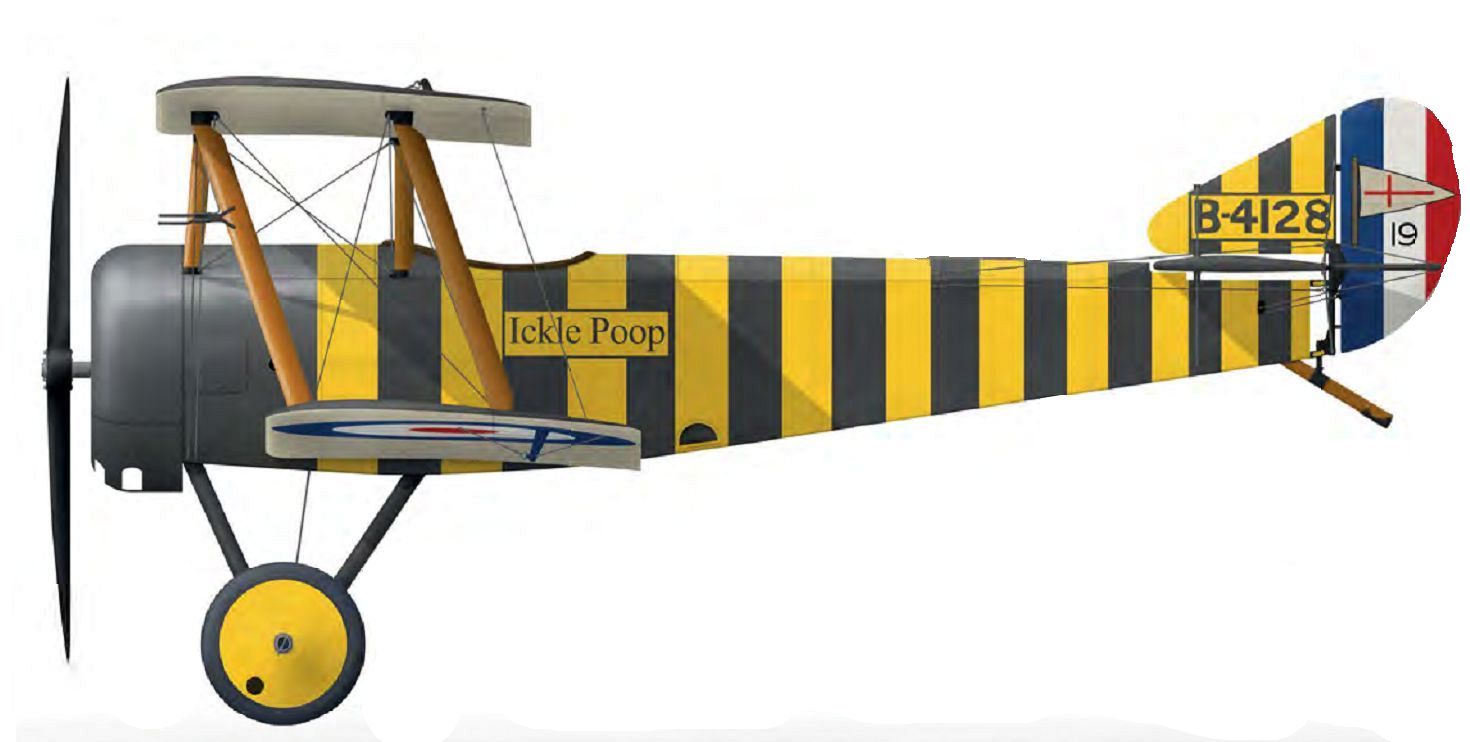 DATABASE; Sopwith Pup