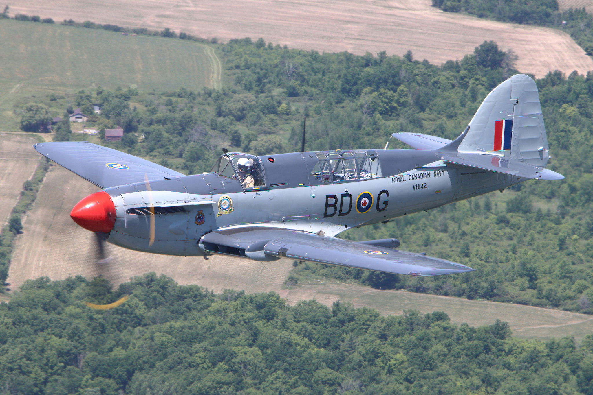 Canada’s Fairey Firefly returns to the air