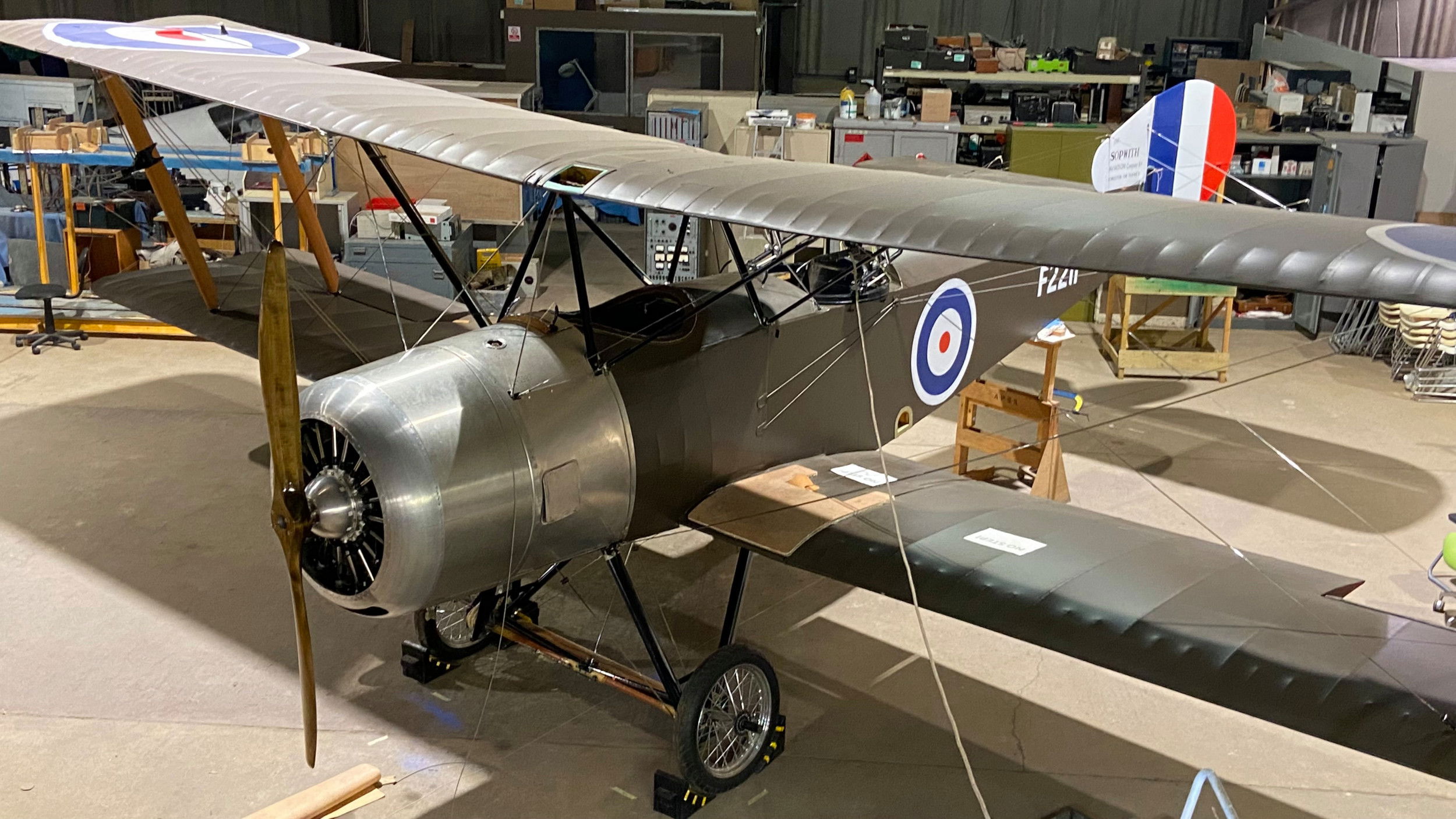 El escocés Strutter debutará en vuelo