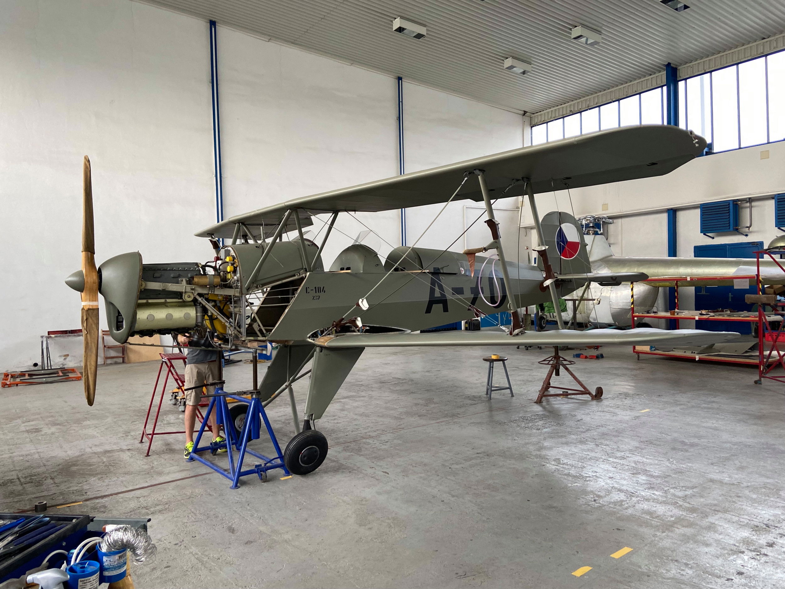 El entrenador checo es restaurado en su tierra natal