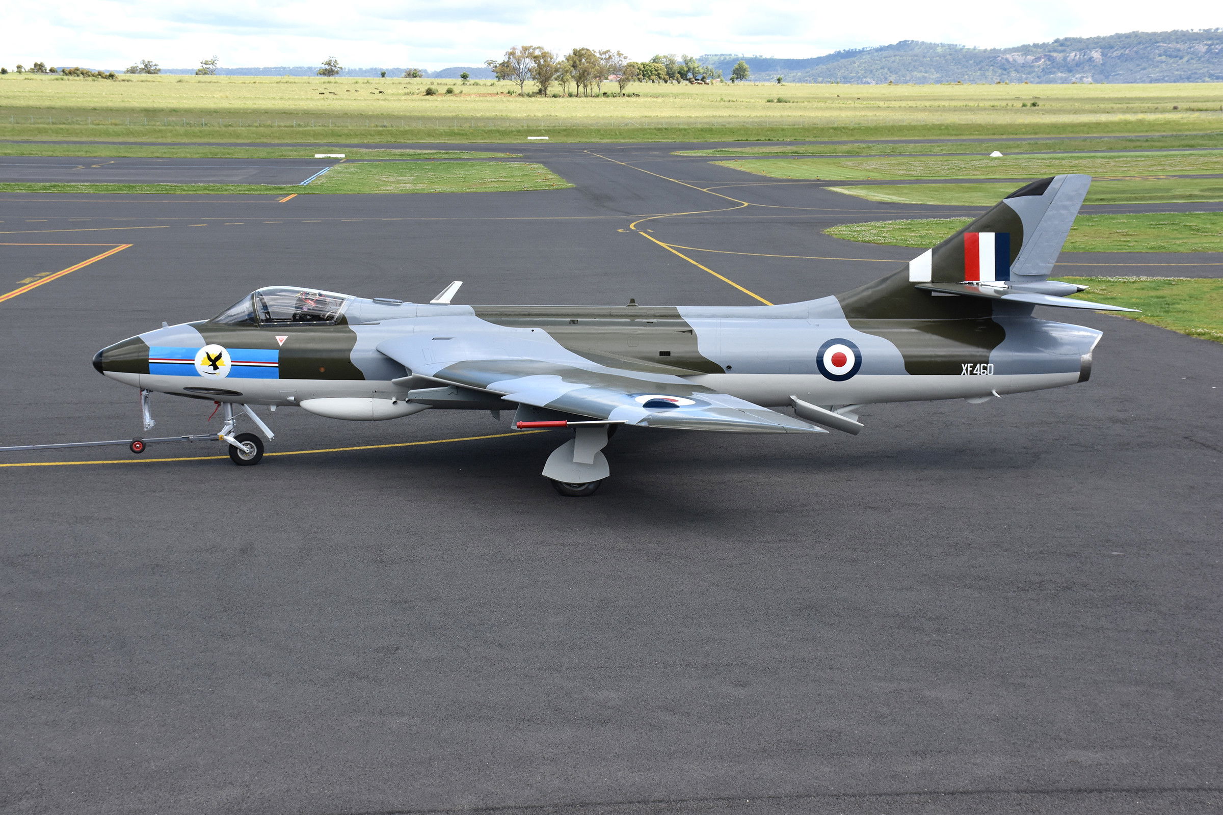 Nuevos colores para el Australian Hunter