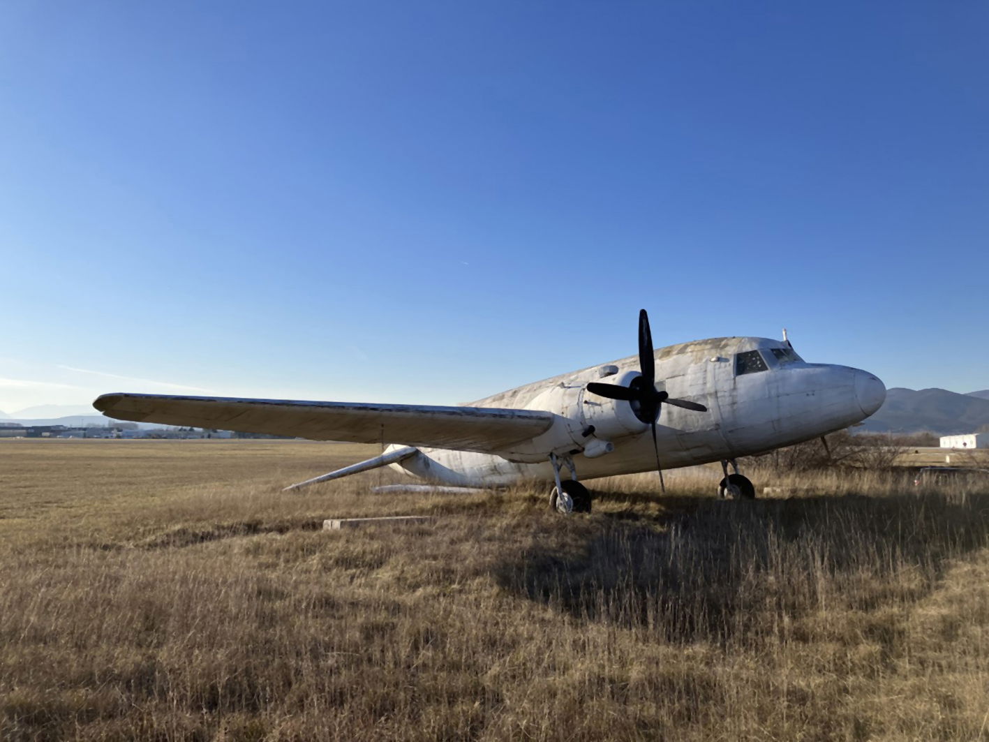 Big BA boost for Blackbushe Viking project