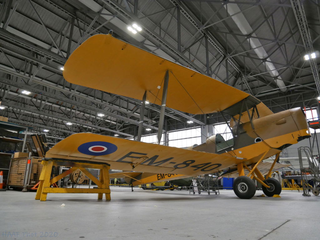 Actualización de la polilla gata y la polilla tigre