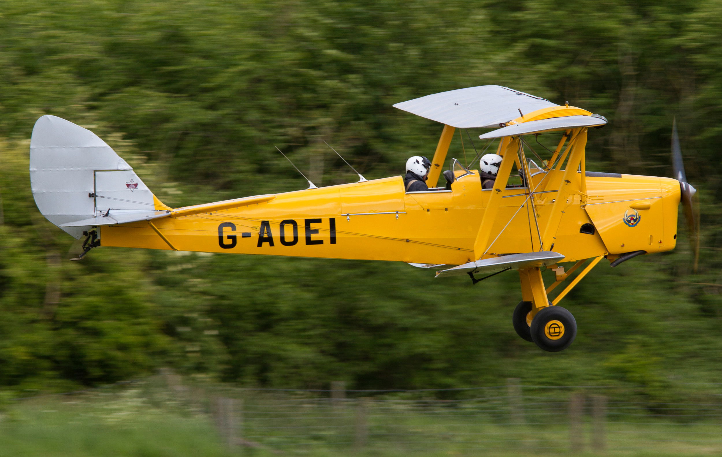Las polillas tigre de Cambridge se trasladan a un nuevo hogar