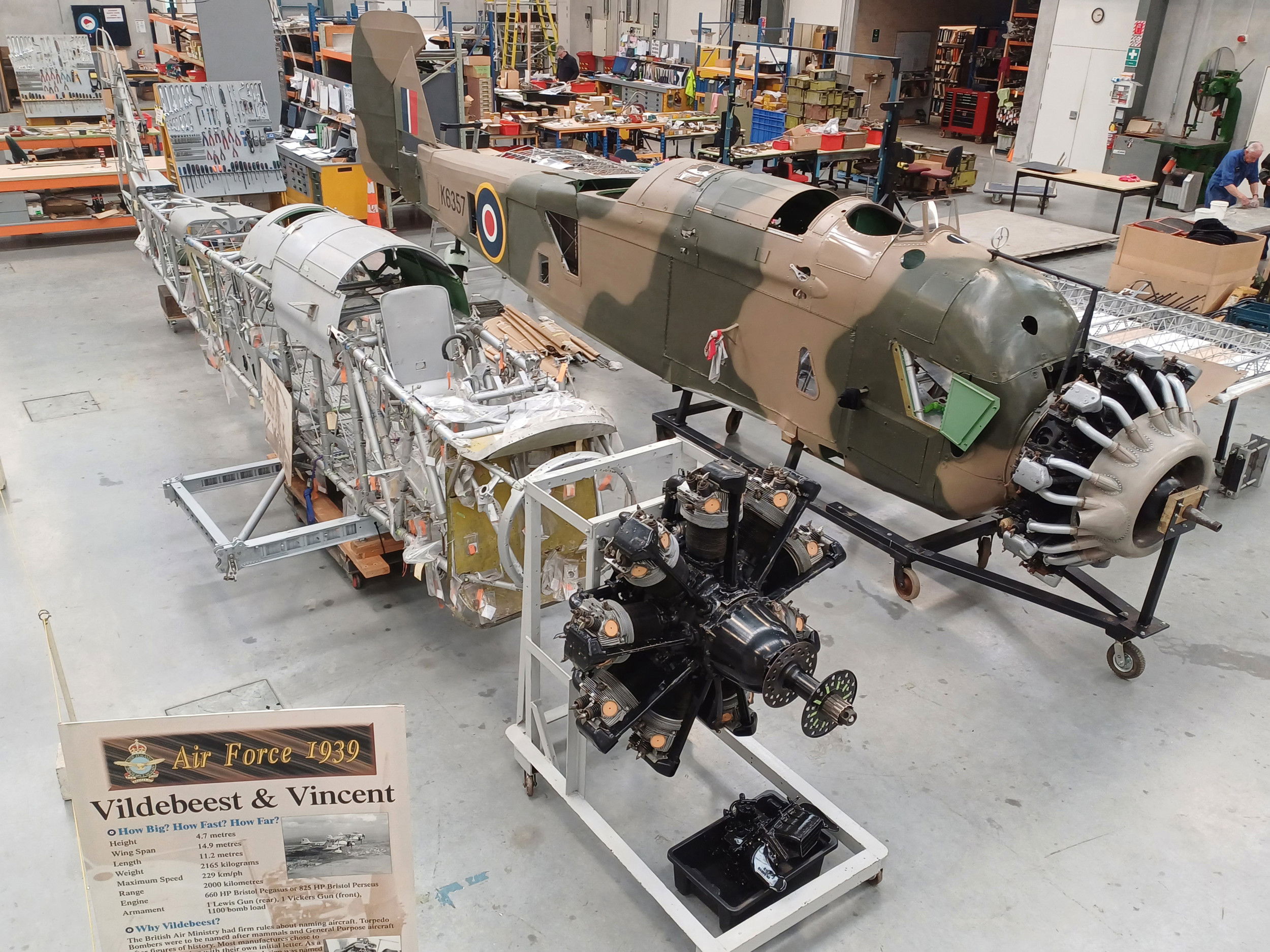 Vincent arrival accelerates NZ Vildebeest restoration