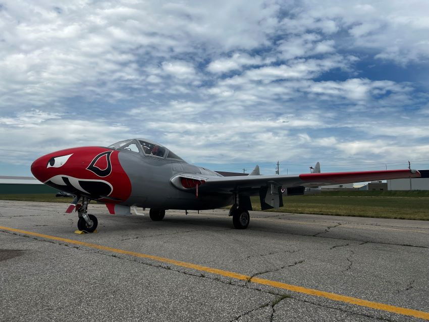 Vampire in need of new home