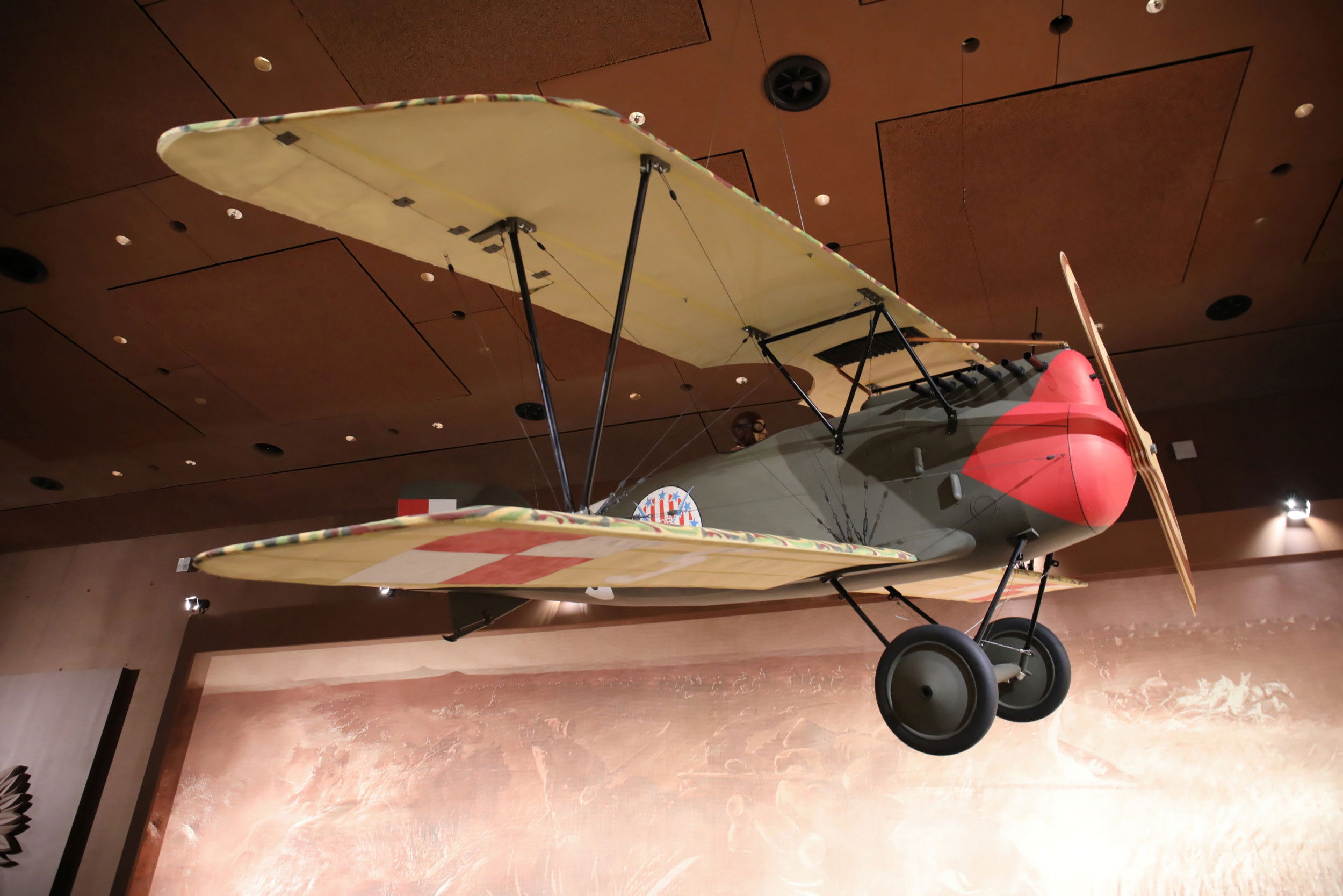 Albatros on show at new Polish Army Museum