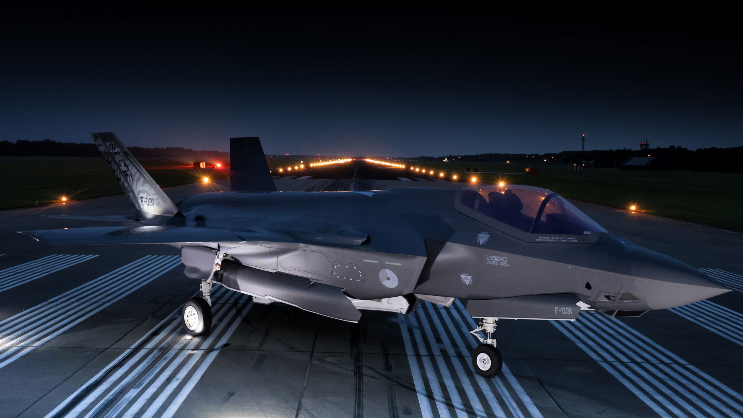 RNLAF 313 Squadrons new Tiger tail anniversary jet