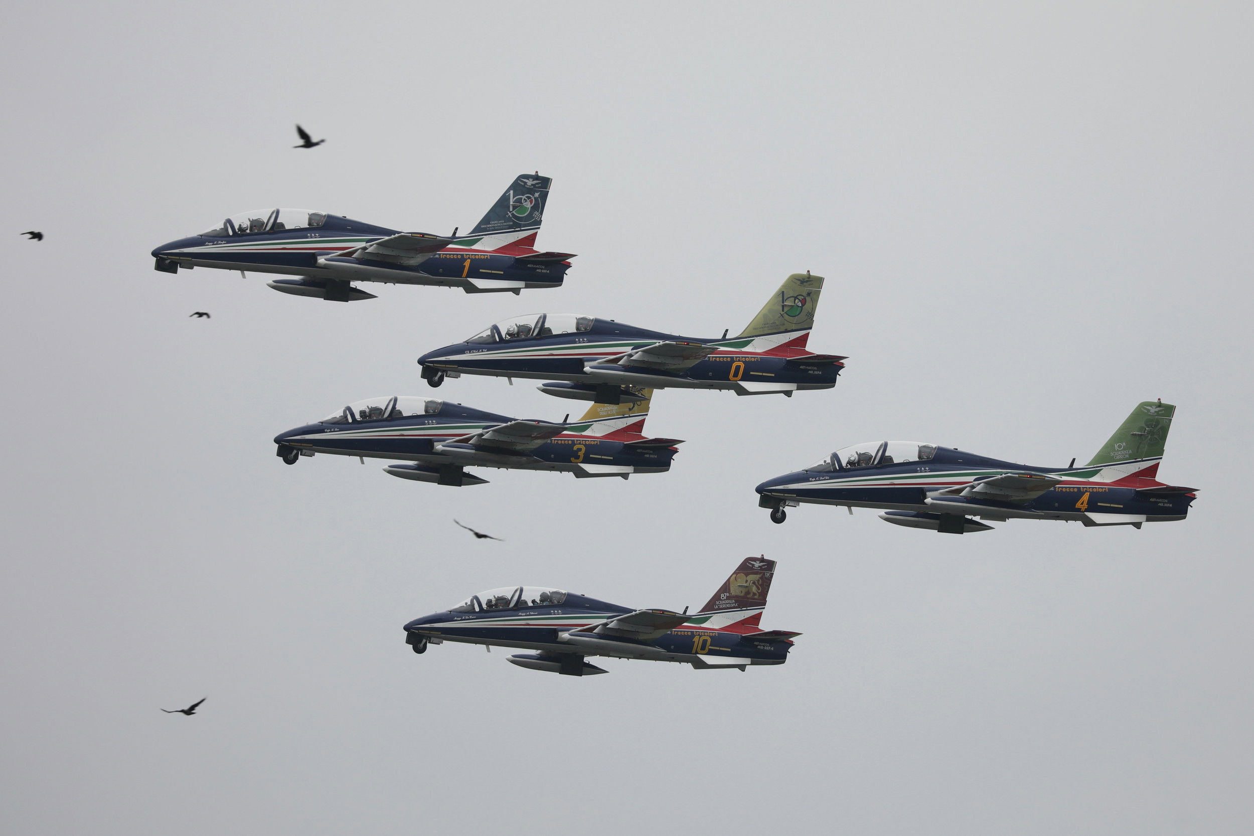 Se baraja el choque con un pájaro como causa del accidente mortal de los Frecce Tricolori en Turín
