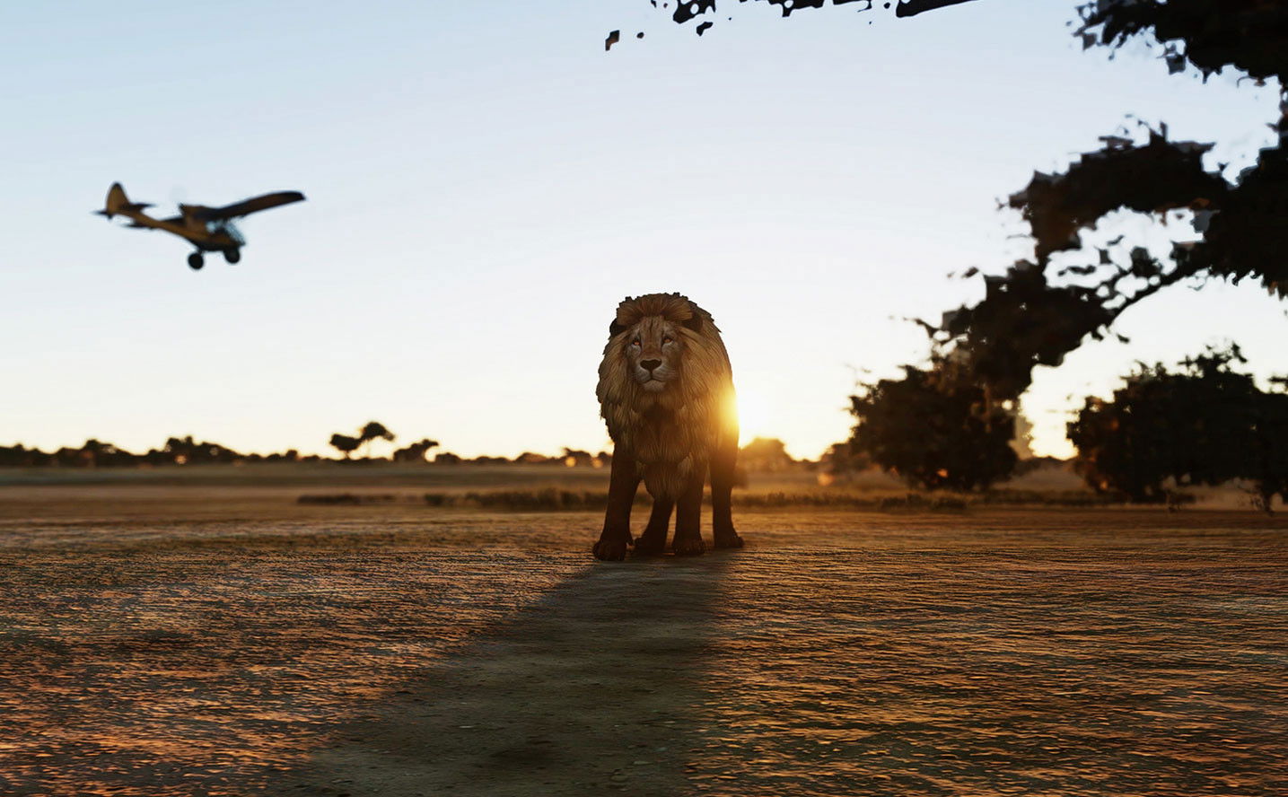 Animals for Microsoft Flight Simulator