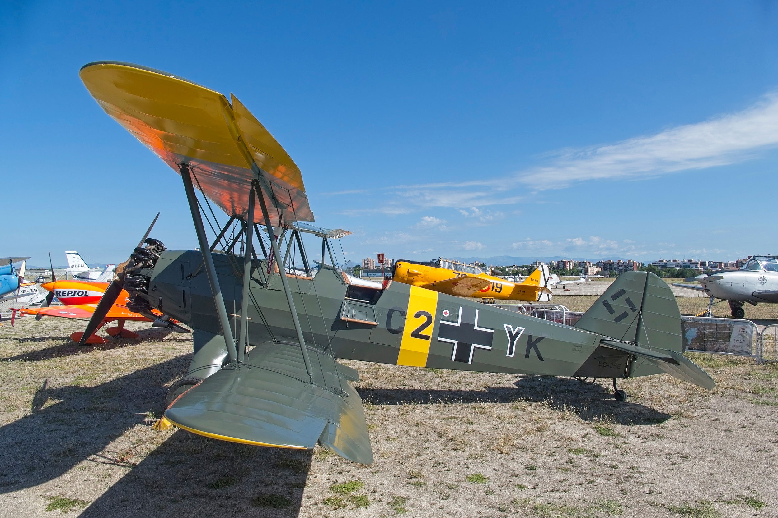 Spanish Stieglitz emerges in German colours