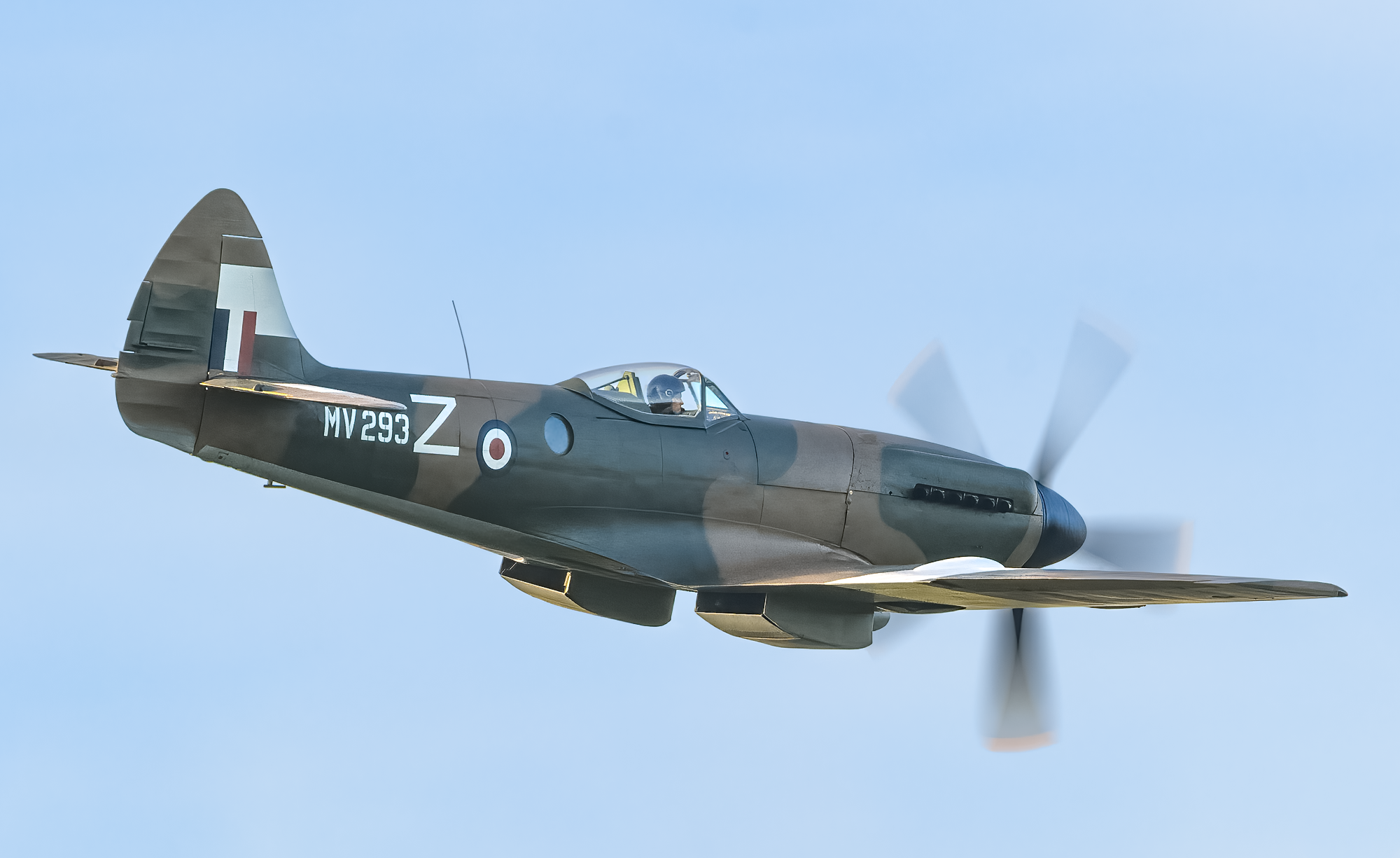 Return to action for Griffon-powered Spitfire