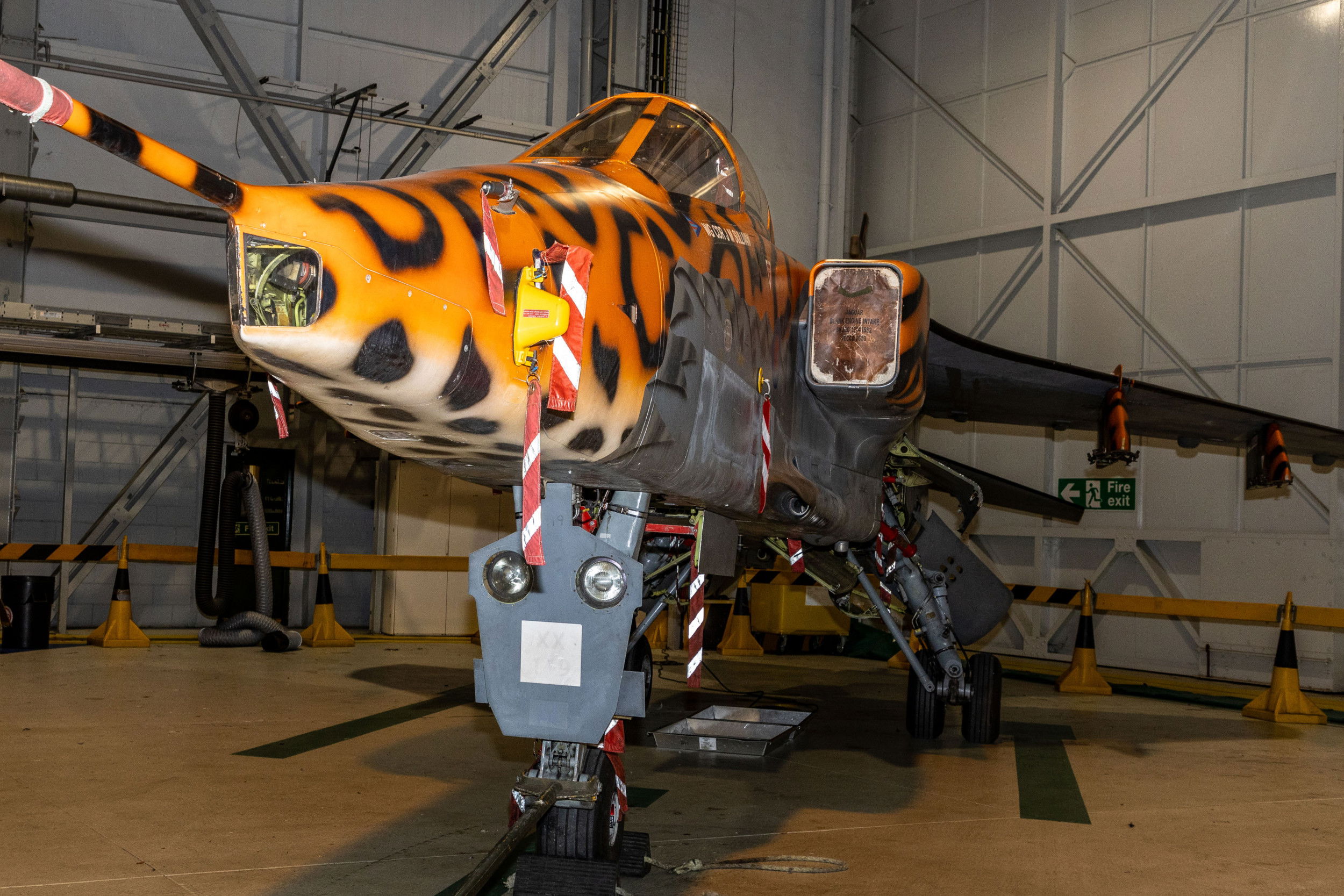Famous Jaguar returns to 6 Squadron