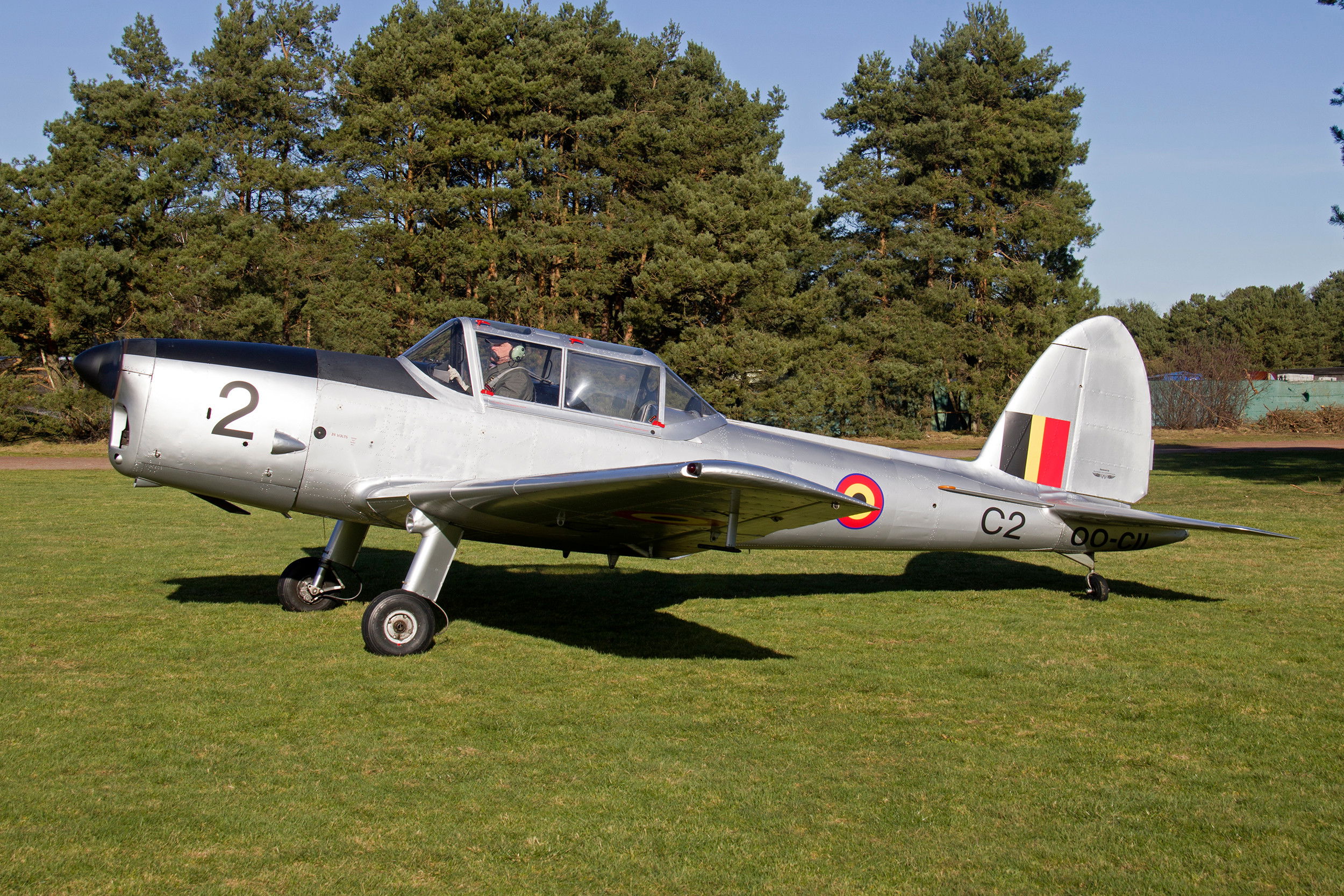 Chipmunk pair find new homes in Belgium