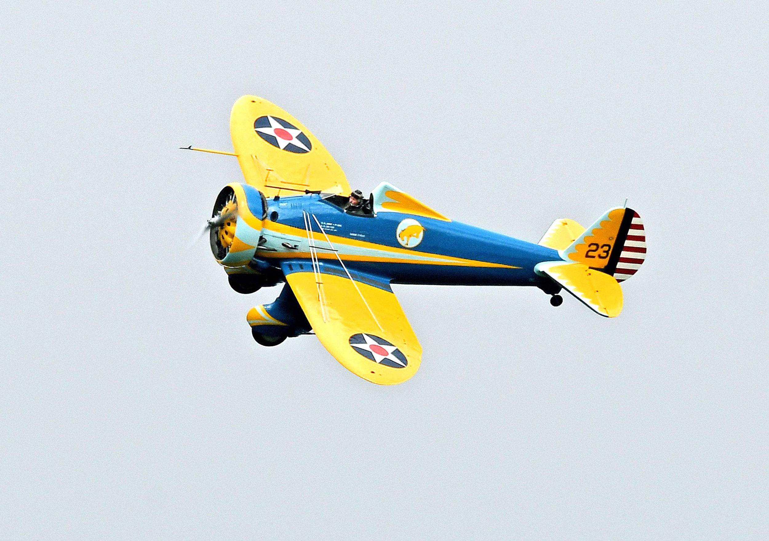 Peashooter back in Californian skies