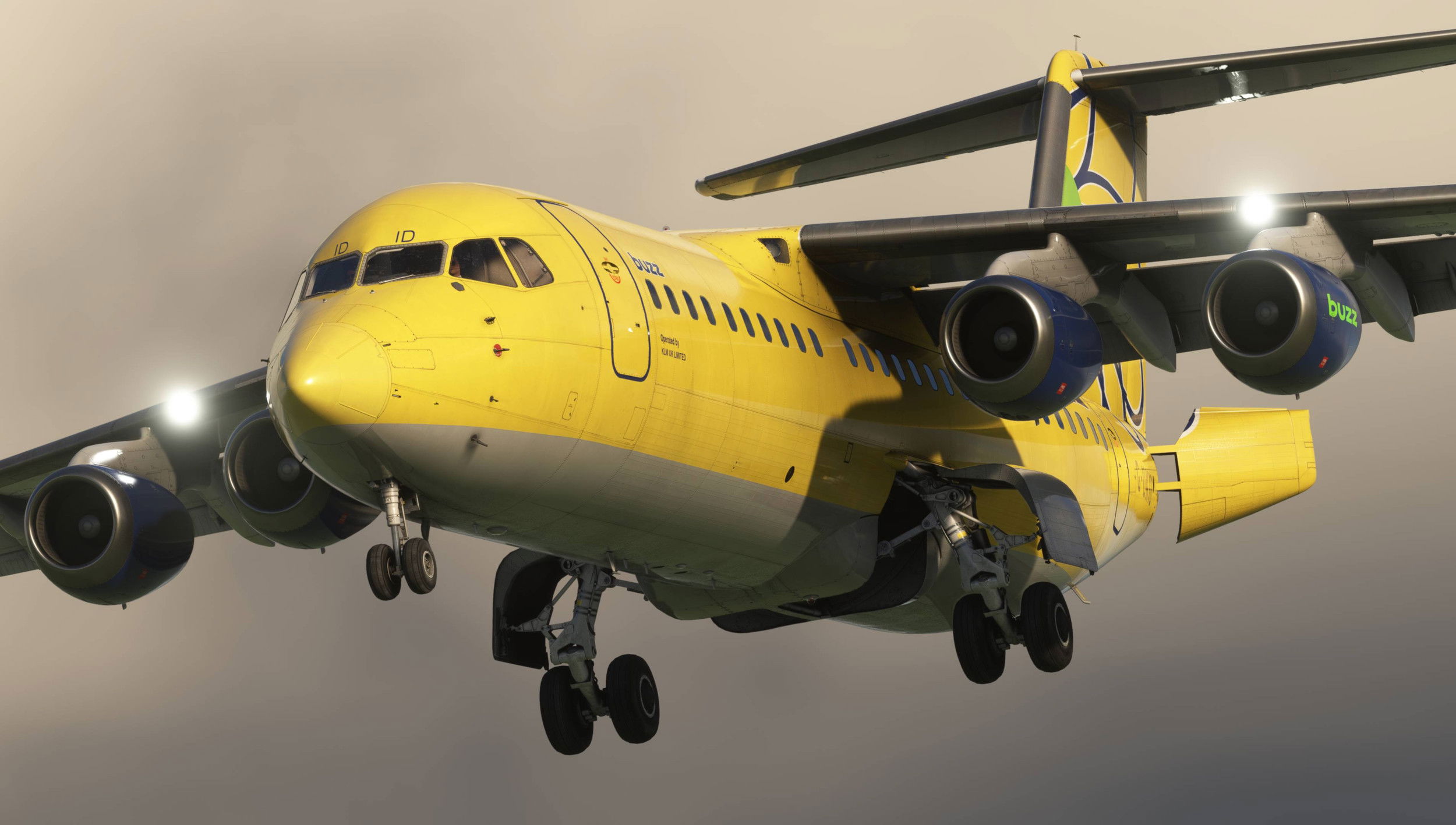 146 Professional upgraded to v2.0