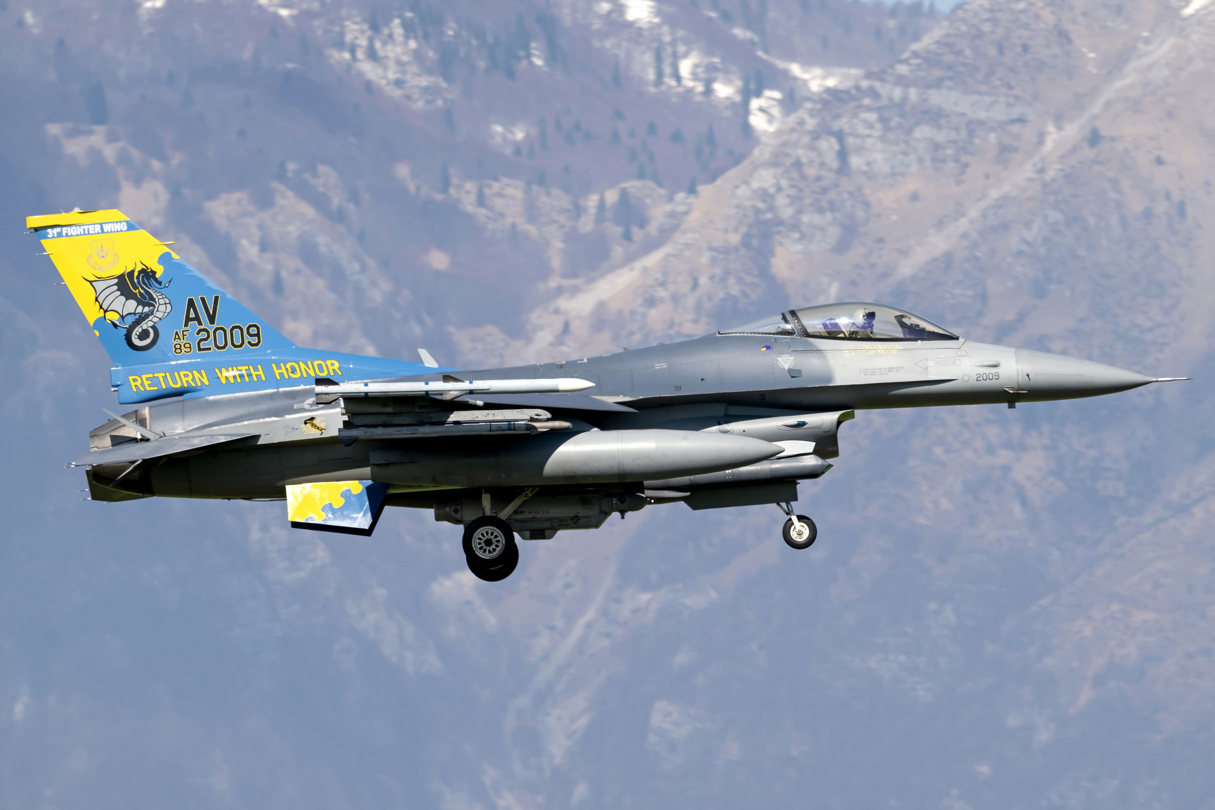 ‘Buzzards’ F-16CM pays homage to 31st FW