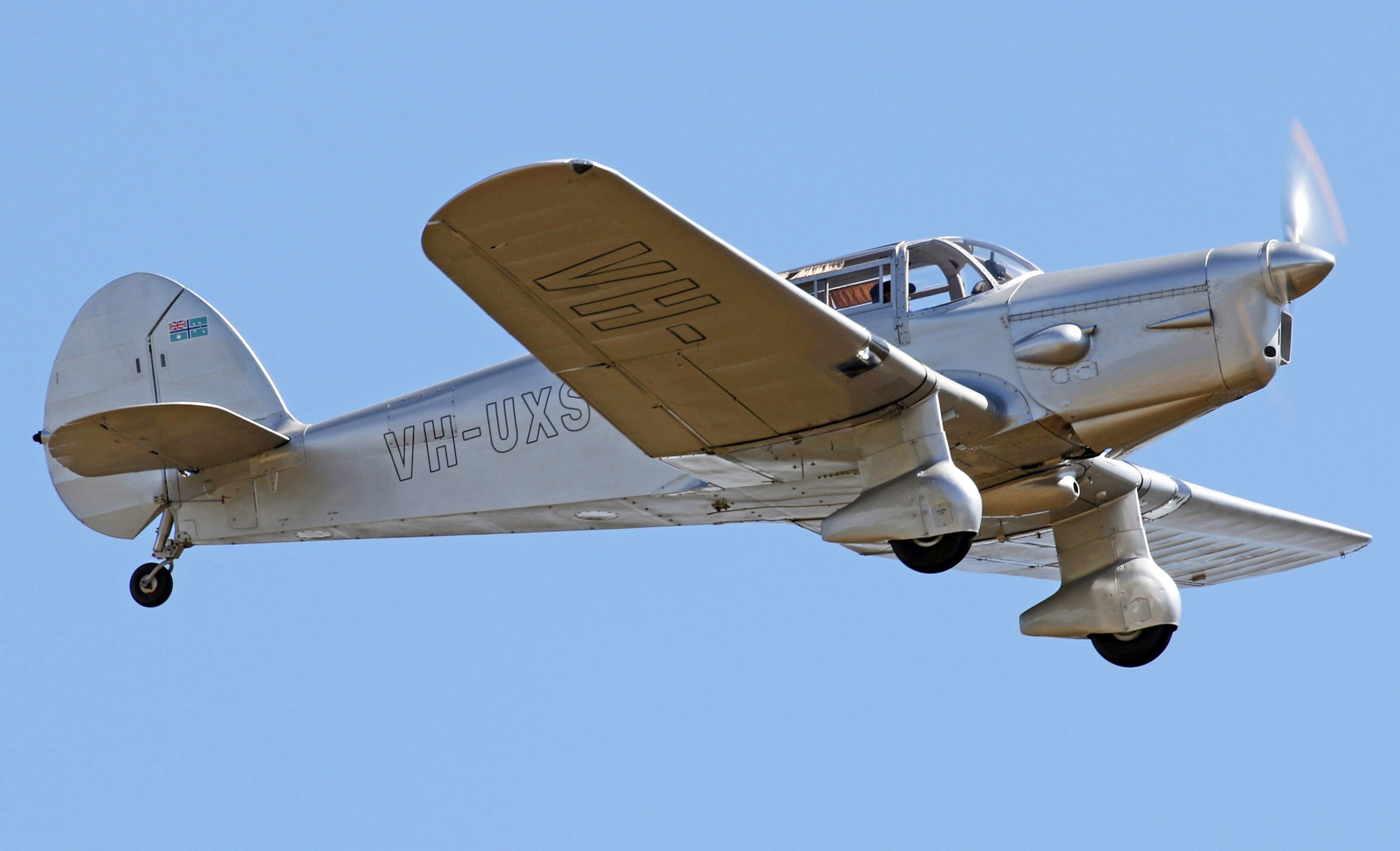 Proctor I makes debut public appearance