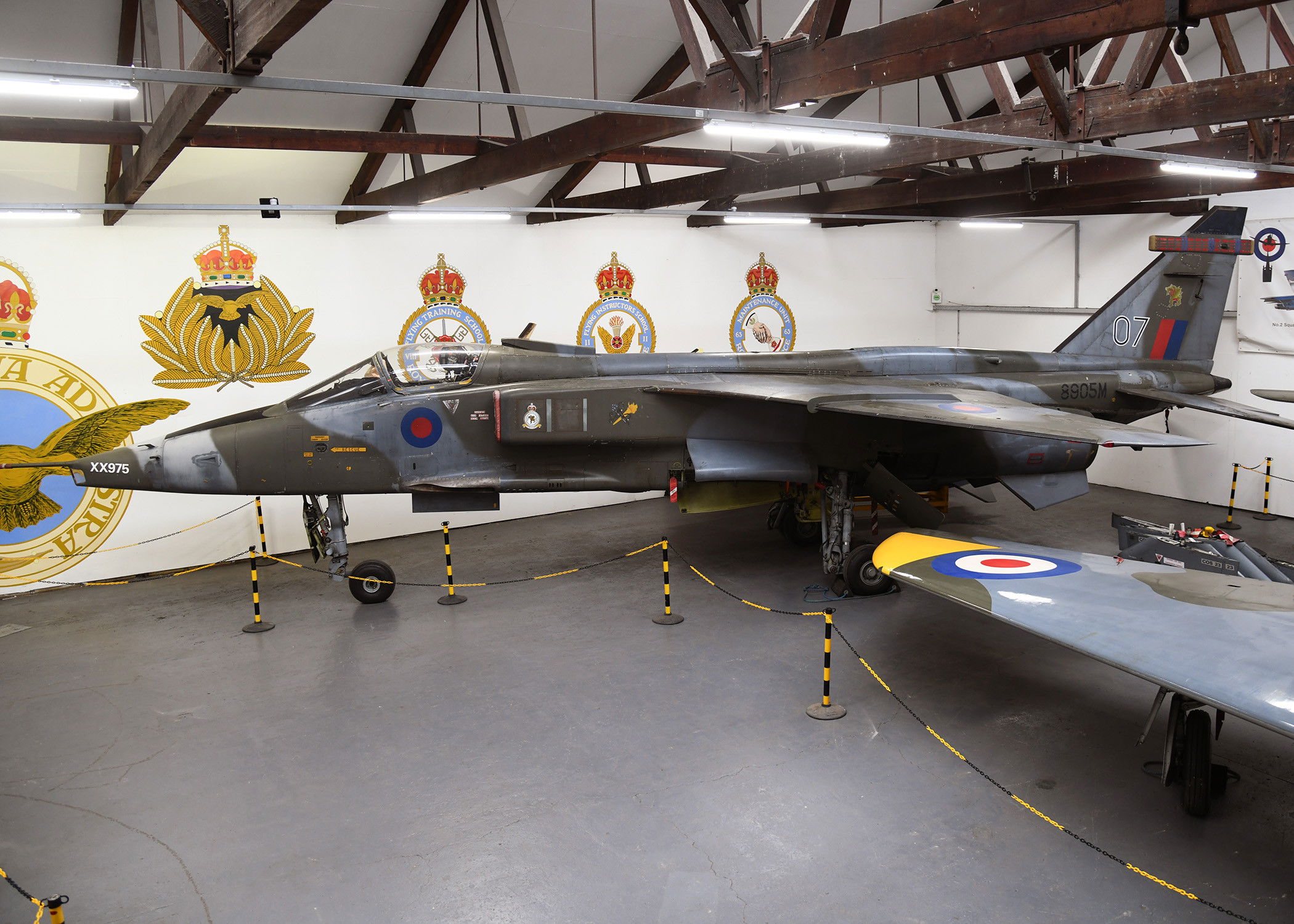 Jaguar arrives at Montrose Museum