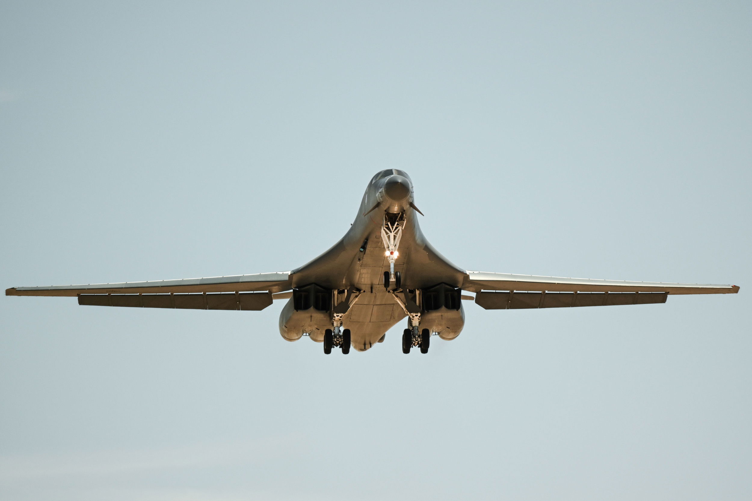 Exercise Bamboo Eagle 24-3 insights