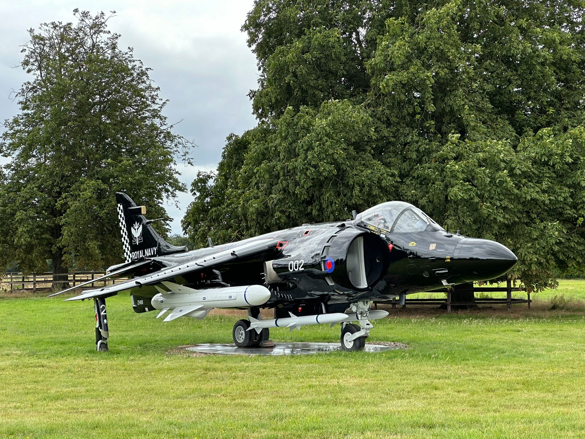 Sea Harrier ZH811 restoration complete