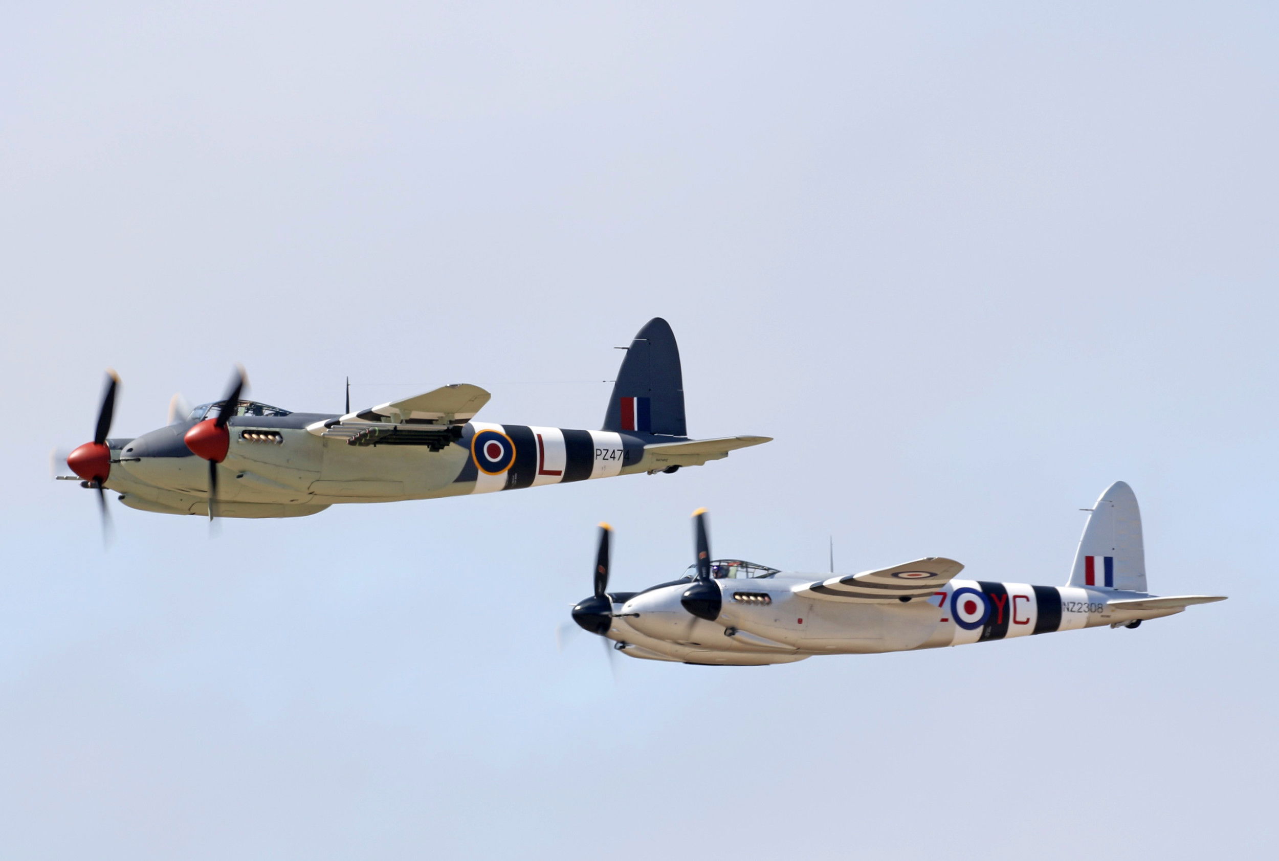 Mosquito duo wows Californian crowds