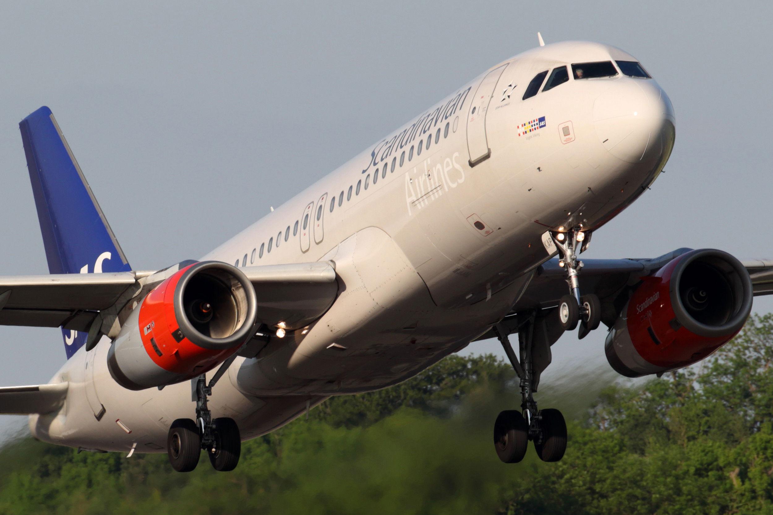 SAS flight diverted after mouse found in meal