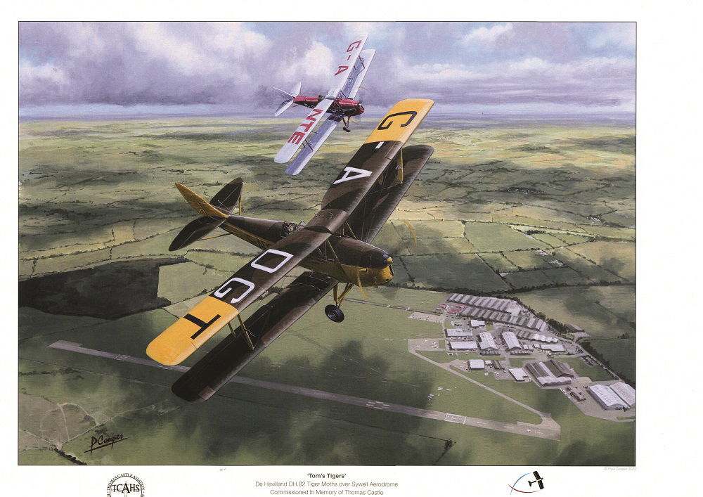 ¡GANA! 1 de 5 Impresiones de la Polilla Tigre del Castillo de Thomas