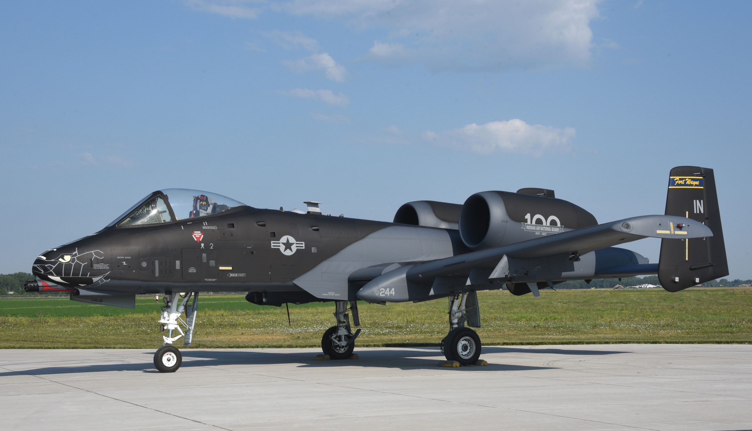 USAF unveils another special schemed A-10C